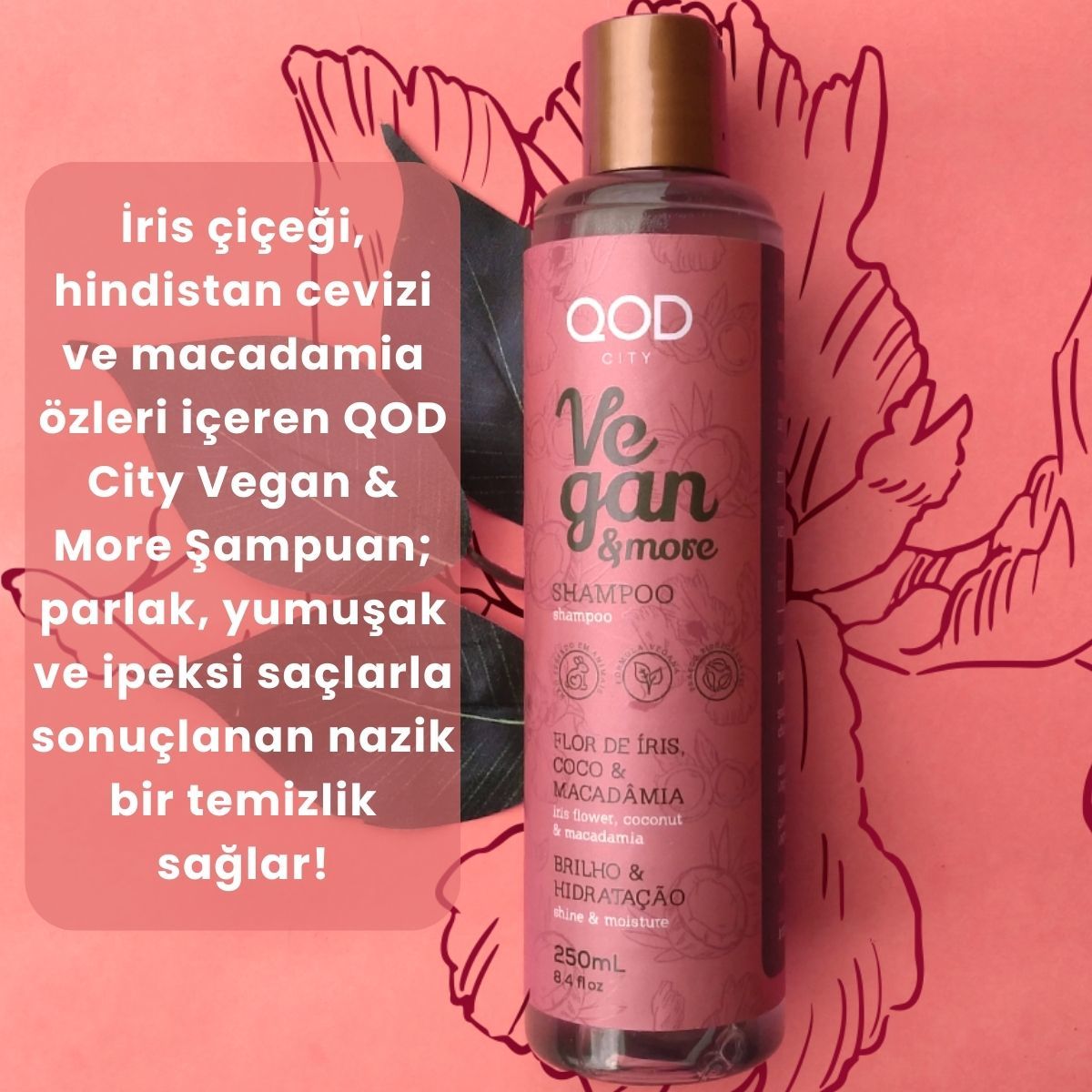 Vegan City Vegan & More Şampuan 250 ml