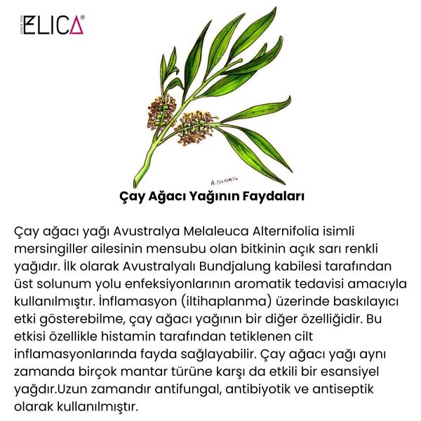 QOD Kepek Şampuanı Çay Ağacı Yağlı Çinko Pritiyonlu Kaşıntı, Yağ, Kurulukla Savaşan Formül 220ml QOD Barber Shop The Cleaning Control Anti-Dandruff Kepek Önleyici Şampuan 220 ml